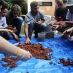 Circuito de Educação Ambiental Parque Luiz Carlos Prestes | IPESA