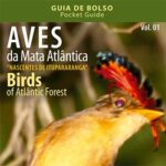 Projeto Guia de Aves | Ipesa
